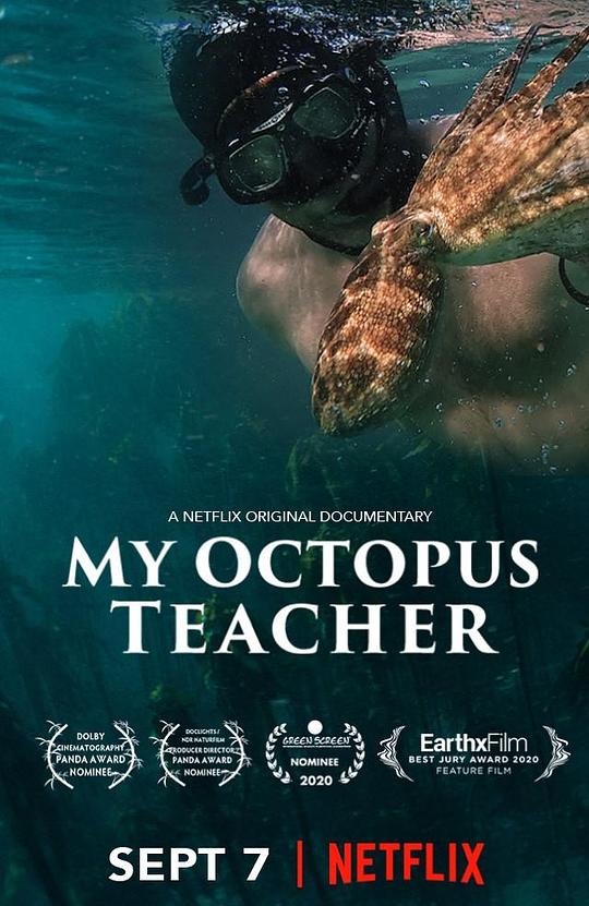 我的章鱼老师 My Octopus Teacher (2020) / 我的八爪鱼老师(港)